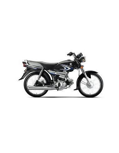 DYL Mini 100  Price in Pakistan, Rating, Reviews and Pictures